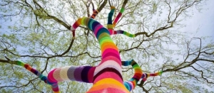 Nietypowe osłony drzew – yarn bombing