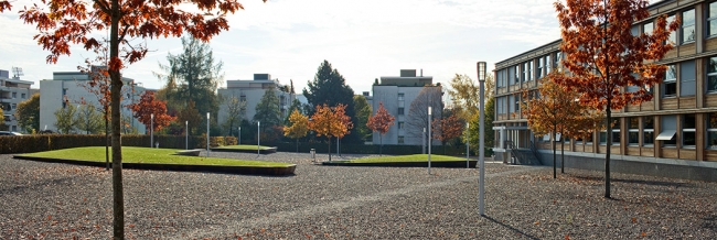 Wielkie zielone ławki parkowe na terenie szkoły